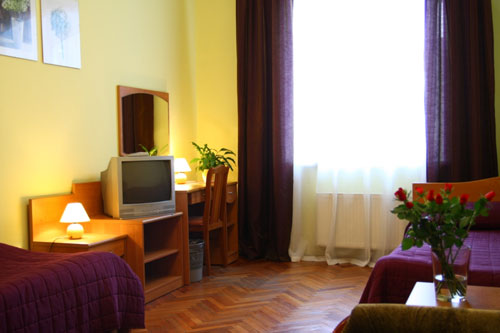 Staronevsky Dom oldnevsky house room